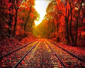 A Train Track In The Autumn Metal Print Wallpaper