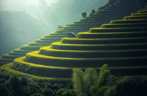 A Tranquil Scene Of Forest, Lake, And Mountain. Wallpaper