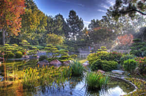 A Tranquil View Of A Japanese Desktop Wallpaper