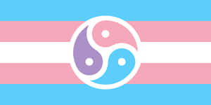 A Transgender Flag With A Yin Symbol Wallpaper