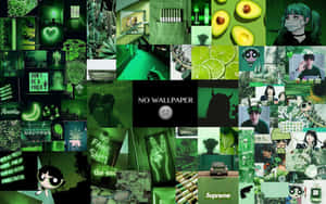 A Vibrant Green Collage Of Nature Elements Wallpaper