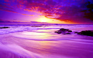 A Vibrant Sunset With A Mix Of Blue And Purple Hues Painting The Sky. Wallpaper