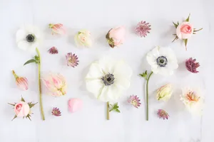 A White And Pink Flower Arrangement On A White Surface Wallpaper