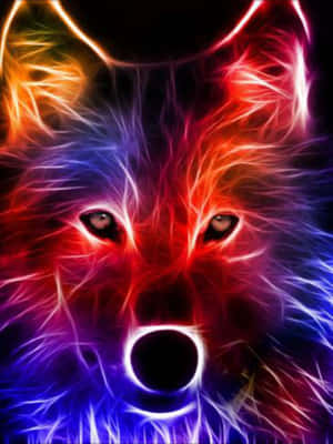 A Wolf With Colorful Eyes On A Black Background Wallpaper