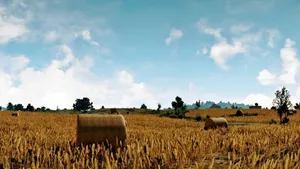 Abandoned Rice Field Pubg 1920x1080 Wallpaper
