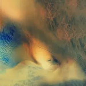 Abstract Blurry Artwork Wallpaper