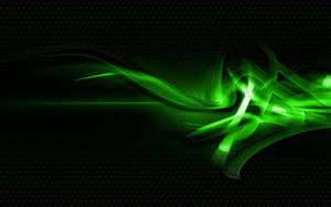 Abstract Dark Green Neon Lines Wallpaper