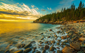 Acadia National Park Bar Harbor Wallpaper