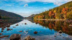 Acadia National Park Fall Foliage Wallpaper