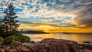 Acadia National Park Mount Desert Island Wallpaper