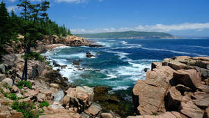 Acadia National Park Rocky Seashore Wallpaper