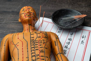 Acupuncturist Acupoints Needles Mannequin Wallpaper