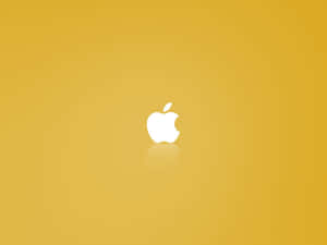 Add A Pop Of Color To Your Desktop With This Fun Yellow Wallpaper Wallpaper