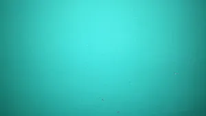 Add A Splash Of Color And Style To Your Home With Solid Green Wallpaper