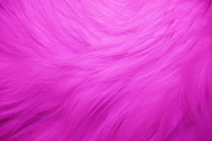 Adding A Touch Of Luxury To Your Home With This Beautiful And Plush Pink Faux Fur Cushion. Wallpaper
