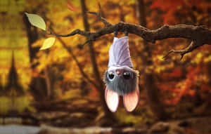 Adorable Baby Bat Hang Wallpaper