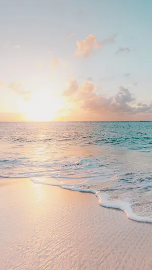 “adorable Turtle Pop Out Of The Ocean” Wallpaper