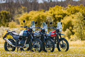 Adventurous Ride With The Himalayan Bike Trio Wallpaper