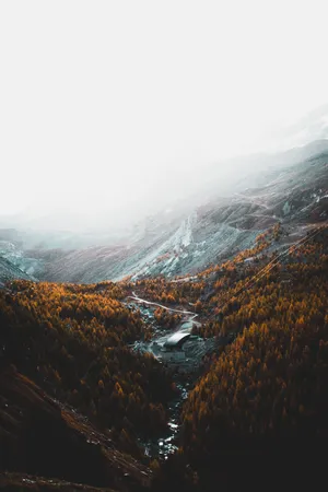 Aerial Photography Of Brown Trees And Mountains Under White Clouds Wallpaper