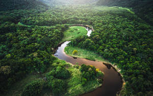Aerial View Of Amazonas River Wallpaper