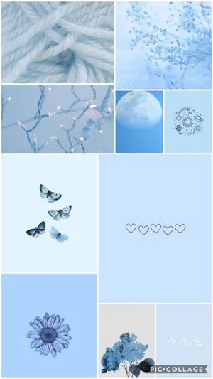 Aesthetic Baby Blue Variety Wallpaper