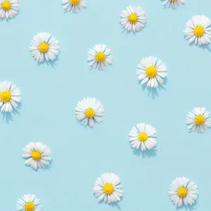 Aesthetic Blue Daisies Wallpaper