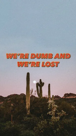 Aesthetic Cactus We're Dumb And We're Lost Wallpaper