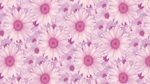 Aesthetic Daisy Pink Filter Wallpaper