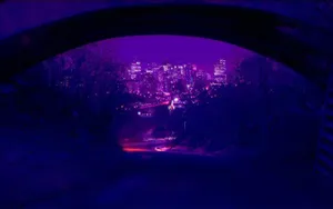 Aesthetic Dark Purple Collage Wallpaper