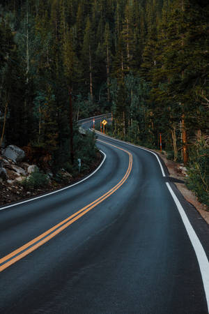 Aesthetic Forest Road Best Hd Wallpaper
