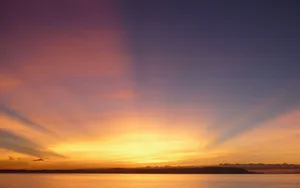 Aesthetic Golden Sun Rise Beach View Wallpaper