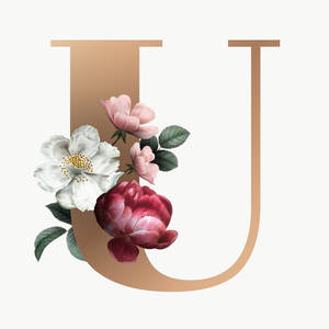 Aesthetic Letter U Wallpaper