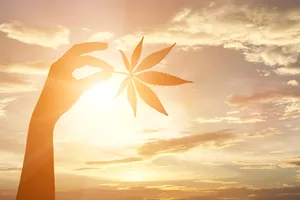 Aesthetic Marijuana Weed Wallpaper