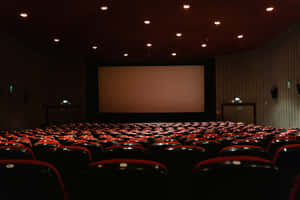 Aesthetic Movie Theater Photo Wallpaper