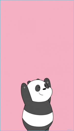 Aesthetic Panda Bear Arms Up Wallpaper