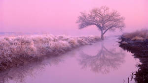 Aesthetic Pink Desktop River And Tree Wallpaper