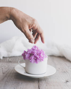 Aesthetic Purple Flower On White Cup With Hand Wallpaper