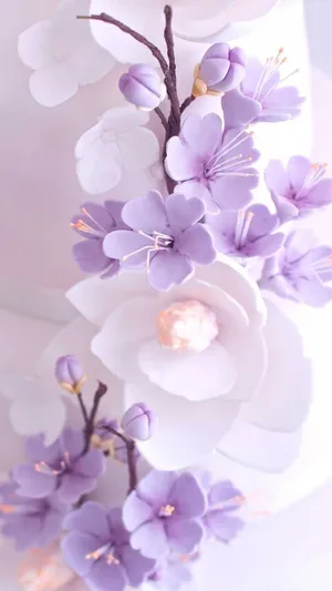 Aesthetic Purple Flower Photo Of Light Lilac Wallpaper