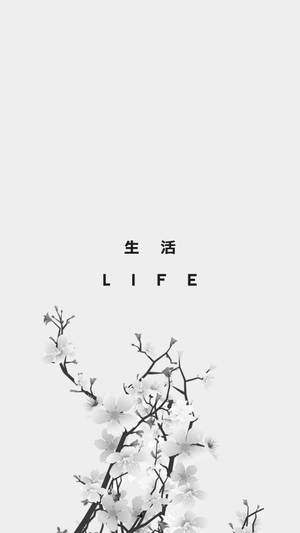 Aesthetic White Life Wallpaper