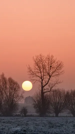 African Beautiful Scenery Sunrise Iphone Wallpaper