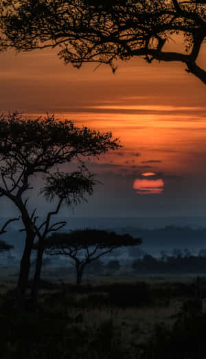 African Masai Mara Reserve Phone Wallpaper