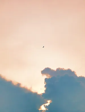 Airplane Flying Over White Clouds During Daytime Wallpaper