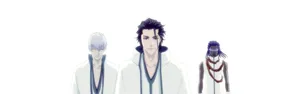 Aizen Gin And Tosen Wallpaper
