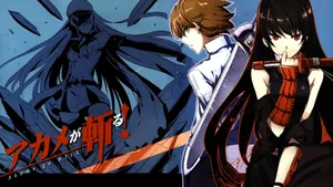 Akame Ga Kill 4k - An Action-packed Anime Scene In High-resolution Wallpaper