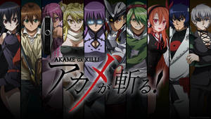 Akame Ga Kill - Unleash A Fierce Battle Between Good & Evil! Wallpaper