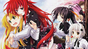 Akeno Rias Asia Koneko High School Dxd Wallpaper