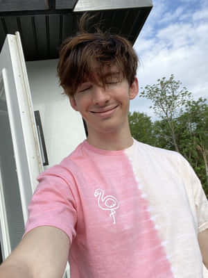 Albert The Flamingo Flaunts His Stylishly Colorful Plumage Wallpaper