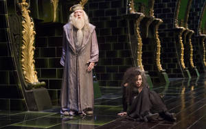 Albus Dumbledore And Bellatrix Lestrange Wallpaper