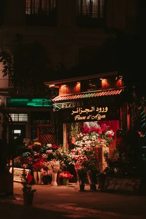 Algeria Flower Store At Night Wallpaper