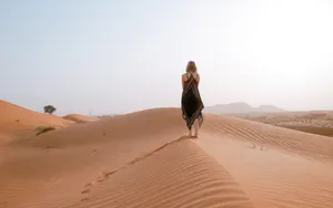 Alone In The Desert Wallpaper